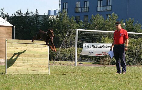 Estonian championship 2007 in IPO 3